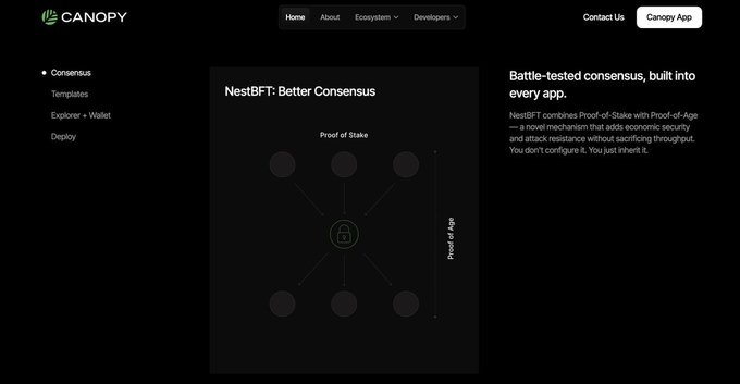 Canopy blockchain website page featuring 'NestBFT: Better Consensus' with a diagram showing Proof of Stake nodes connecting to a central lock icon, describing it as combining Proof-of-Stake with Proof-of-Age.