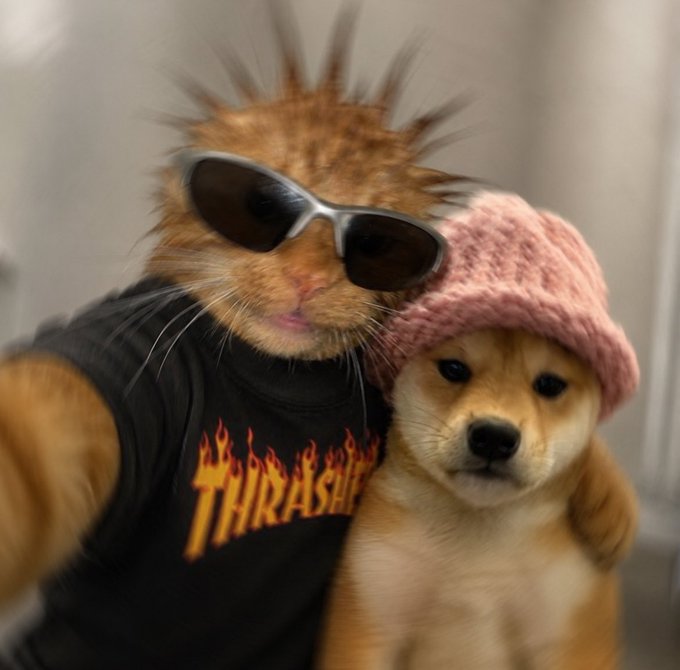 Humorous AI-generated or edited image of an orange cat wearing sunglasses and a black 'THRASHER' flame t-shirt, posing with a golden retriever puppy wearing a pink knit beanie.