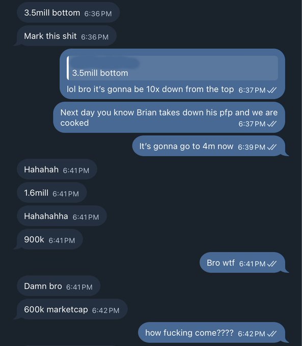 A Discord chat screenshot showing panicked messages about a token's market cap rapidly dropping from 3.5 million to 600K, referencing "Brian takes down his pfp."