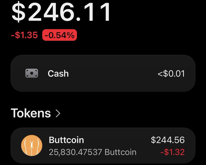A cryptocurrency portfolio screenshot showing a total balance of $246.11, down $1.35 (-0.54%), with $244.56 held in 25,830.47537 Buttcoin tokens and negligible cash.