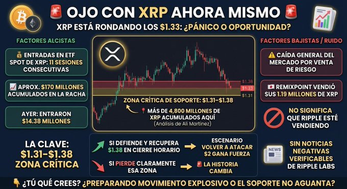The image is a Spanish-language trading alert graphic warning that XRP is at a critical support zone of $1.31–$1.38, highlighting approximately $170 million in ETF inflows (including $14.38 million the prior day), a bearish overall market decline, and reminding viewers that over 4.8 billion XRP were accumulated in that range according to analyst Ali Martinez's on-chain analysis.

The graphic visually reinforces the post's warning: the candlestick chart with its shaded "critical support zone" band and the highlighted X symbol both emphasize the $1.31–$1.38 area where Martinez detected massive whale accumulation, framing current price action as either a bullish launchpad or a breakdown point to watch immediately.