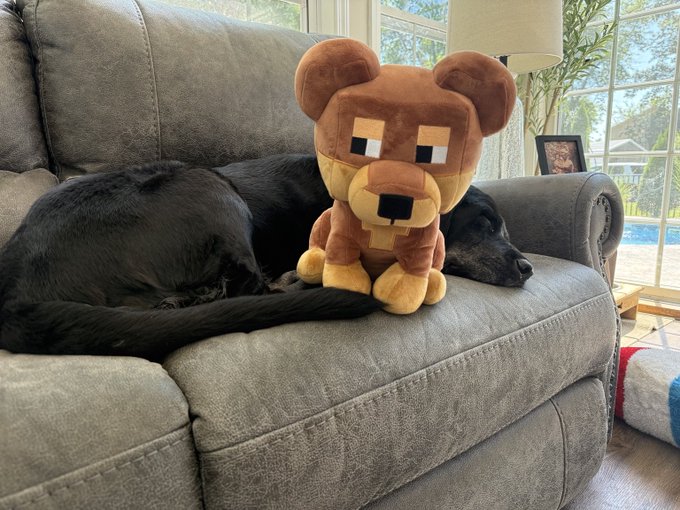 A black dog sleeps peacefully on a gray couch next to a brown Minecraft-style bear plush toy.