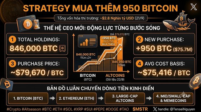 Infographic in Vietnamese titled 'STRATEGY MUA THÊM 950 BITCOIN' detailing a $79,670/BTC purchase price, 846,000 BTC total holdings, and a roadmap covering Bitcoin, Ethereum, Altcoins, and Memecoins, credited to @TenseiNguyen.