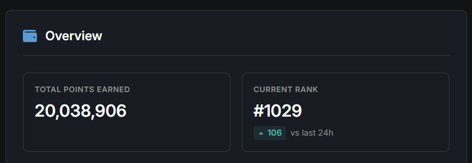 A dark dashboard interface showing an 'Overview' panel with 'TOTAL POINTS EARNED: 20,038,906' and 'CURRENT RANK: #1029' with a change of +106 vs last 24h.