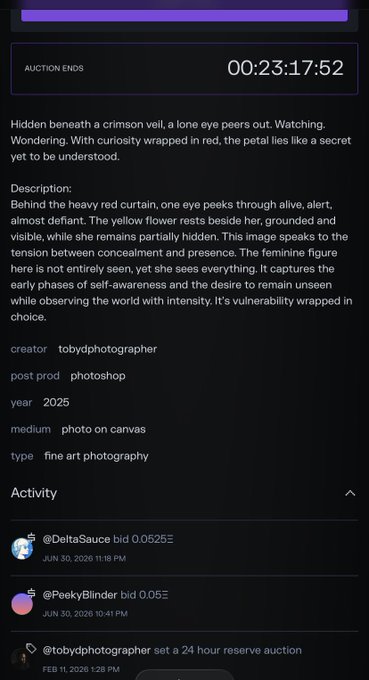 A digital art auction listing shows a piece by tobydphotographer titled with a 23-hour countdown timer and current high bid of 0.0525 ETH from @DeltaSauce, matching the post celebrating DeltaSauce's bid on the fine art photography piece.