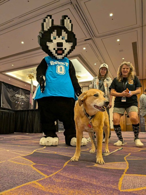 A husky dog mascot wearing a blue jersey with '0' and a yellow Labrador retriever standing on a patterned carpet in a convention hall, with two people visible in the background near an 'ORIGIN' banner.