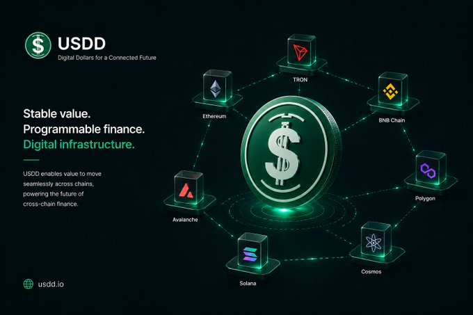 A promotional graphic for USDD cryptocurrency, featuring a central green coin surrounded by blockchain logos including TRON, Ethereum, BNB Chain, Polygon, Avalanche, Solana, and Cosmos, with the tagline 'Stable value. Programmable finance. Digital infrastructure.'