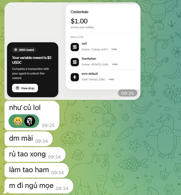 Chat interface screenshot showing a credentials card displaying '$1.00 across your wallets' with three linked wallets (sol, thanhphan, evm-default), a USDC reward notification for '$3 USDC', and several Vietnamese/Chinese chat messages with timestamps 09:25 and 09:34.