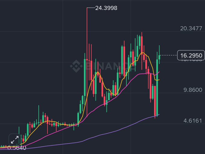 A Binance cryptocurrency candlestick chart showing a high of 24.3998, with moving averages and price levels at 20.3477, 16.2950, 9.8600, and 4.6161.