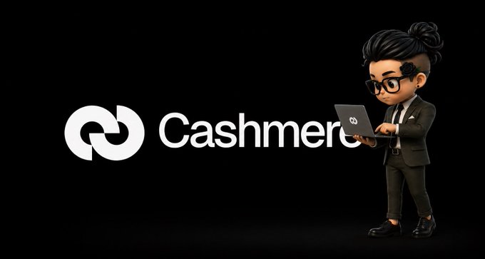 A 3D cartoon character in a black suit holds a laptop displaying the Cashmere logo next to the "Cashmere" brand name and circular emblem on a black background, representing the onchain bridging solution referenced in the post about losing $60 to slippage and long wait times during a cross-chain USDC transfer.