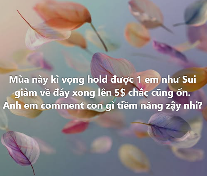 A pastel-toned background with floating pink and purple leaves overlaid with Vietnamese text: 'Mùa này kì vọng hold được 1 em như Sui giảm về đáy xong lên 5$ chắc cũng ổn. Anh em comment con gì tiềm năng zậy nhỉ?'
