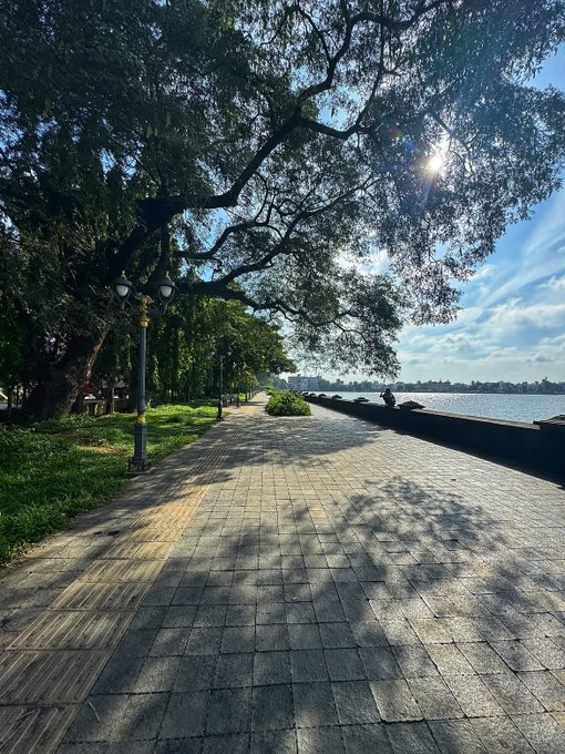 A tree-lined paved waterfront promenade stretches alongside a body of water, with sunlight filtering through the canopy and a decorative lamppost standing along the path.