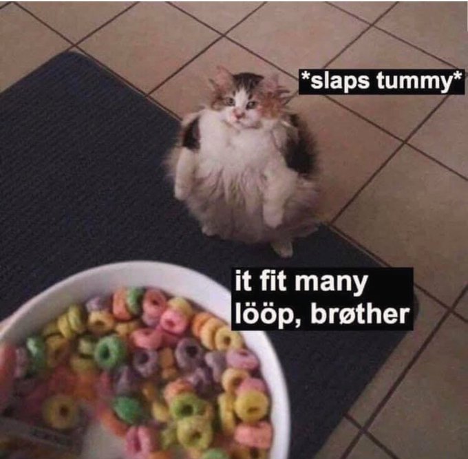 A meme showing a fluffy cat standing on its hind legs on a mat, accompanied by the text "*slaps tummy*" and "it fit many lööp, bröther," next to a bowl of Froot Loops cereal.