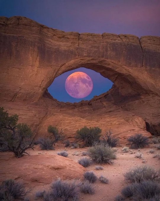 A massive full moon glows pink through the natural window of a red sandstone arch in the desert, creating the striking "eye" effect referenced in the caption. Sparse desert shrubs and sandy terrain surround the rock formation beneath a soft twilight sky.