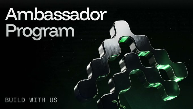 The image features an advertisement for an "ambassador program", which appears to be a paid promotion or sponsorship opportunity. The text on the image reads, "AMBASSADOR PROGRAM". Below this, there are three black circles stacked on top of each other in a pyramid shape. The background is dark and has a green tint. The caption below the image states that the program is available for those who want to build their own website with us.