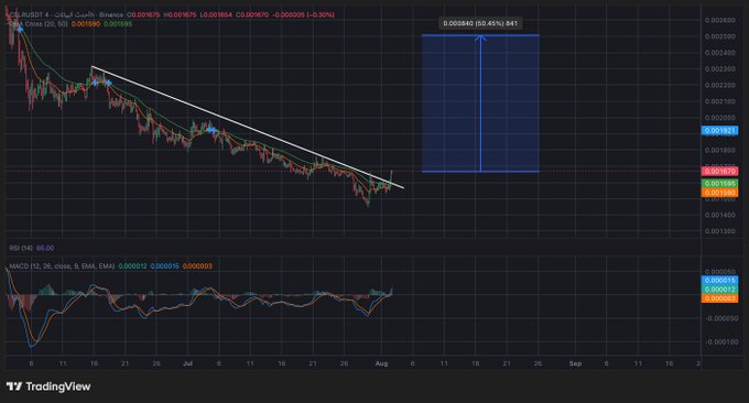A TradingView chart for USDCUSDT showing a downtrend with RSI and MACD indicators, noting a "Strong Sell" signal at $0.001841.