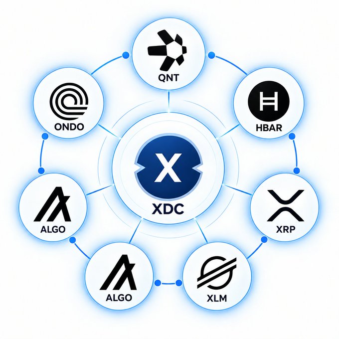 A diagram showing the XDC cryptocurrency at the center, surrounded by a connected network of other crypto tokens including QNT, HBAR, XRP, XLM, ALGO, and ONDO.