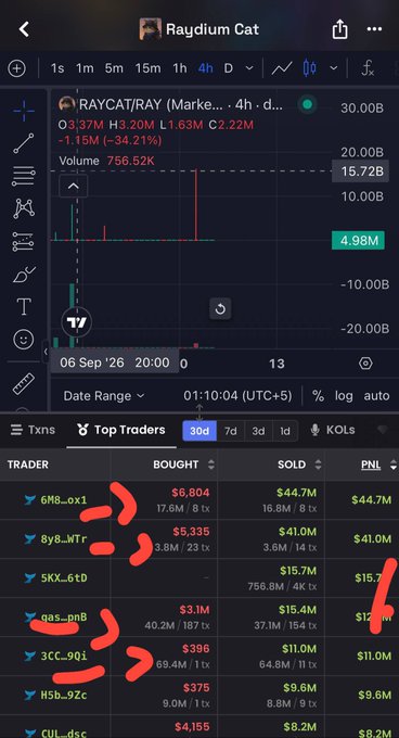 A cryptocurrency trading chart on Raydium shows the RAYCAT/RAY pair with a volume of 756.52K, displaying top traders with profit/loss data highlighted in red.