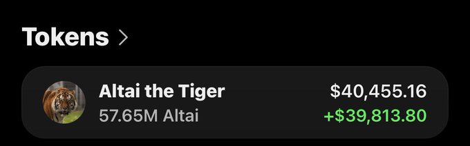 Dark-themed token display showing 'Altai the Tiger' holding 57.65M Altai tokens valued at $40,455.16, with a positive change of +$39,813.80.