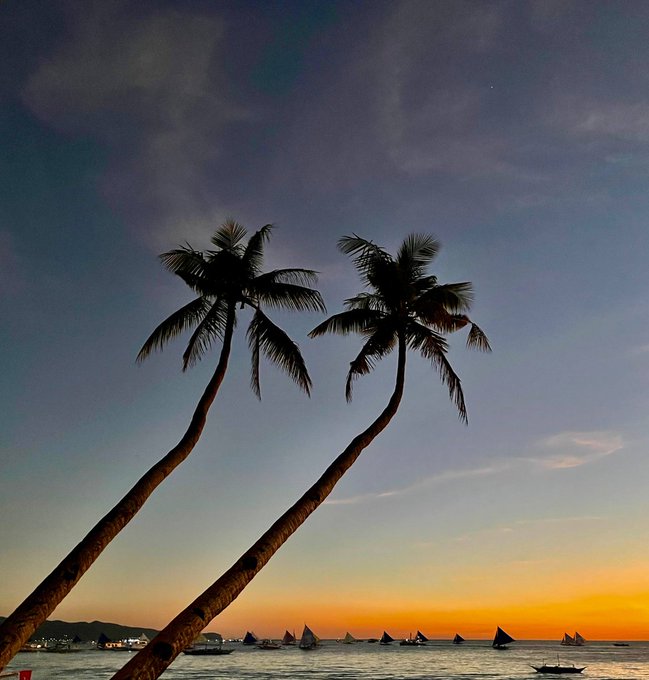 A silhouette of two palm trees leans over a beach at sunset, with several small sailboats visible on the water against a colorful sky.