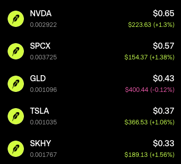 A dark-themed stock portfolio app showing holdings including NVDA at $223.63 (+1.3%), SPCX at $154.37 (+1.38%), GLD at $400.44 (-0.12%), TSLA at $366.53 (+1.06%), and SKHY at $189.13 (+1.56%).