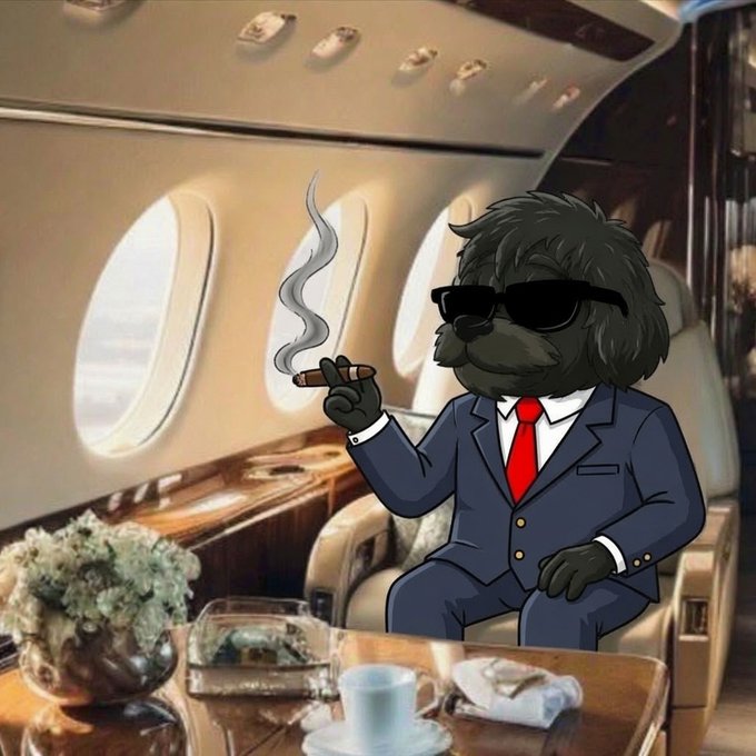 A cartoon dog in a suit and sunglasses smokes a cigar inside a private jet, surrounded by luxury amenities like flowers and fine dining. The image embodies the post's message of prioritizing success and wealth, with the signature "gmyro" reinforcing a brand of hustle and exclusivity.