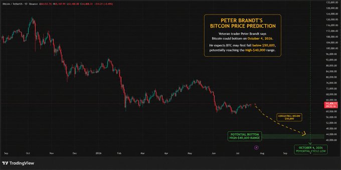 A TradingView Bitcoin price chart titled 'PETER BRANDT'S BITCOIN PRICE PREDICTION' showing a downward trend with annotations indicating a 'GOLD FALL BELOW $50,000', 'POTENTIAL BOTTOM: High $40,000 RANGE', and 'OCTOBER 8, 2024 POTENTIAL CYCLE LOW'.