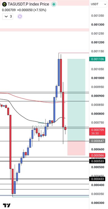 A TAGUSDT price chart shows a 7.53% gain at $0.000709, with a highlighted projection zone extending toward the $0.001 target level mentioned in the post, illustrating the analyst's bullish call that whales are still buying.