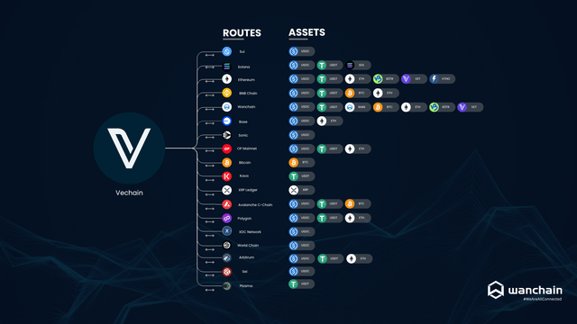 The image displays a network diagram showing VeChain's integration with Wanchain, illustrating cross-chain connectivity between the Vechain mainnet and various routes/assets including Sui, Solana, Ethereum, BNB Chain, Polygonchain, Base, Sepolia, and several others. The diagram visually represents the expanding interoperability of VeChain's ecosystem through Wanchain, aligning with the announcement of Plasma support being now live on the platform.