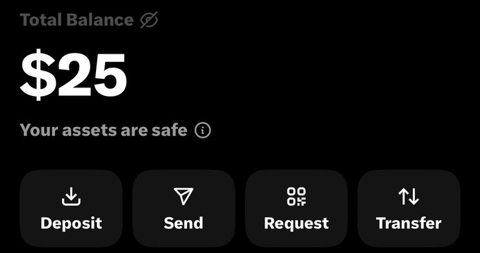 The image shows a digital wallet interface displaying a "Total Balance" of $25 with the message "Your assets are safe" and four action buttons (Deposit, Send, Request, Transfer). It directly corresponds to the post's claim of receiving $25, likely as a playful reference to a supposed gift from Elon Musk intended for buying Pokémon cards.
