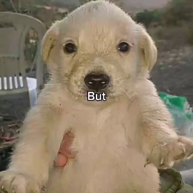 None