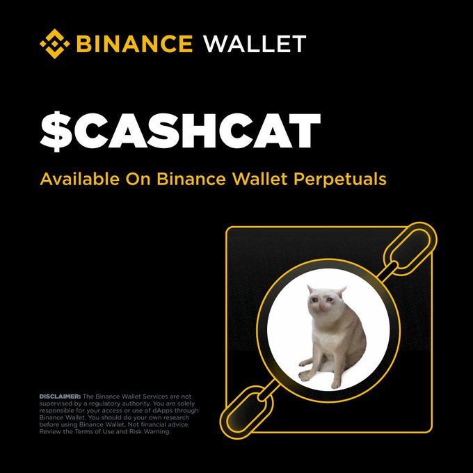 The image is a promotional graphic for Binance Wallet announcing that the meme token $CASHCAT is now available for trading on Binance Wallet Perpetuals, featuring the Binance Wallet logo, the "$CASHCAT" ticker, a photo of a cat (referencing the meme) framed by a yellow circuit-like design, and a disclaimer noting the service is unregulated and not financial advice—visually reinforcing the post's call to trade the new token with up to 10x leverage.