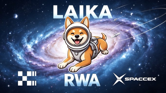 A cheerful Shiba Inu dog wearing a white astronaut helmet and harness floats in front of a colorful swirling space scene featuring a galaxy. The image displays the text "LAIKA" at the top, "RWA" at the bottom left, and the "SPACCEX" logo at the bottom right, representing a tribute to Laika—the first living being sent to space in 1957—through a space-themed meme coin on X Layer.