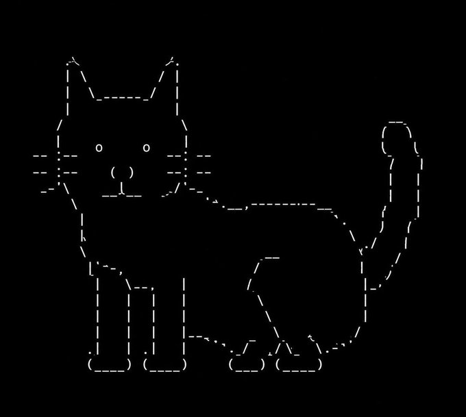 A minimalist white dashed-line drawing of a standing cat on a black background.