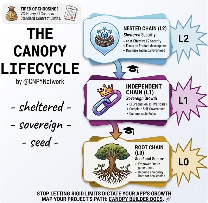 An infographic titled 'THE CANOPY LIFECYCLE' by @CNPYNetwork illustrates three blockchain stages: L2 Nested Chain (Sheltered Security), L1 Independent Chain (Sovereign Growth), and L0 Root Chain (Seed and Secure).