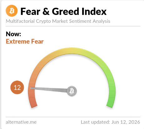 The image presents a chart that shows the price fluctuations of Bitcoin over time. The chart has two distinct colors - green at the top representing an increase, and red at the bottom indicating a decrease. The text accompanying the graph states "Extreme Fear", implying that there have been significant fluctuations in Bitcoin's value recently or are expected to do so soon.