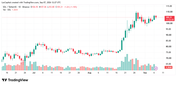 A TradingView candlestick chart for SOL / TetherUS on Binance, showing a 1D timeframe with a current price of 105.31 (+1.16%).