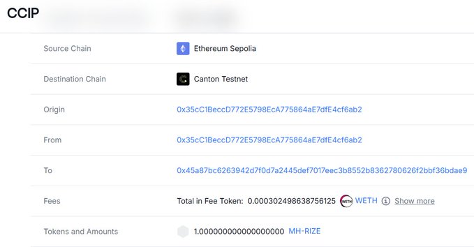 A blockchain transaction interface labeled "CCIP" shows a transfer from Ethereum Sepolia to Canton Testnet, with the token "MH-RIZE" and fees listed as 0.000302498638756125 WETH.