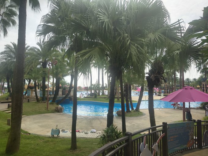 A scenic view of a tropical resort area featuring palm trees, a blue swimming pool, and a pink beach umbrella, with a person standing on a walkway.