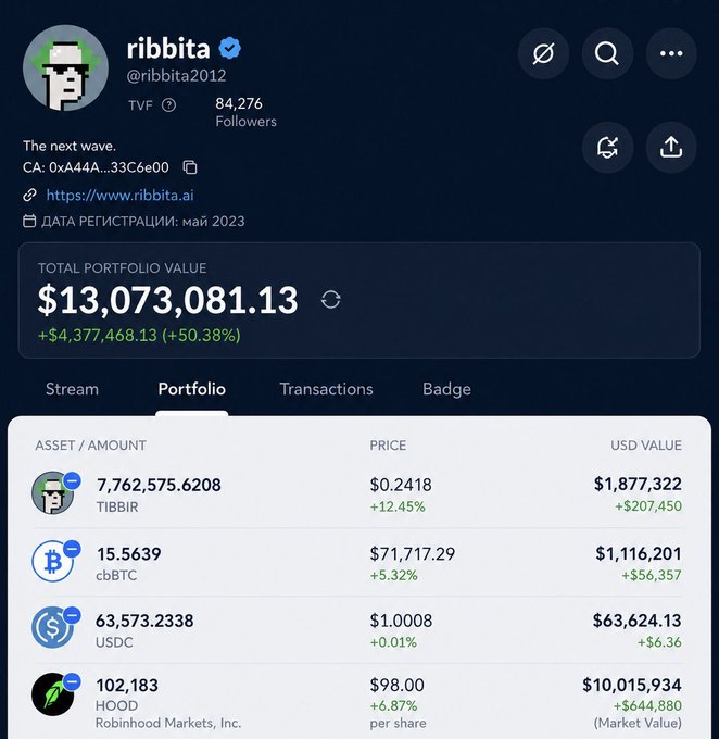 A portfolio screenshot for 'ribbita' (@ribbita2012) showing a total value of $13,073,081.13, with holdings including TIBBIR, cbBTC, USDC, and HOOD (Robinhood Markets, Inc.).