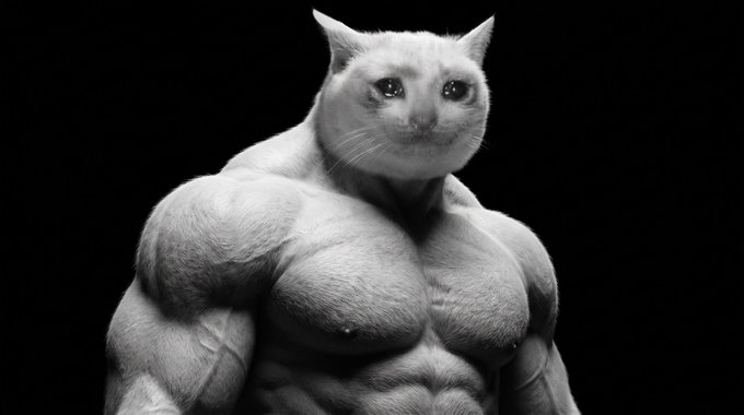 Surreal black-and-white image of a heavily muscled, shirtless humanoid figure with a white cat's head against a dark background.