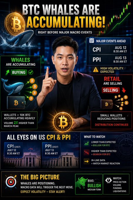 A YouTube thumbnail titled 'BTC WHALES ARE ACCUMULATING! RIGHT BEFORE MAJOR MACRO EVENTS' features a presenter highlighting upcoming US CPI (Aug 12, 8:30 AM ET) and PPI (Aug 13, 8:30 AM ET) releases, with sections showing whales accumulating, retail selling, and small wallets reducing positions.