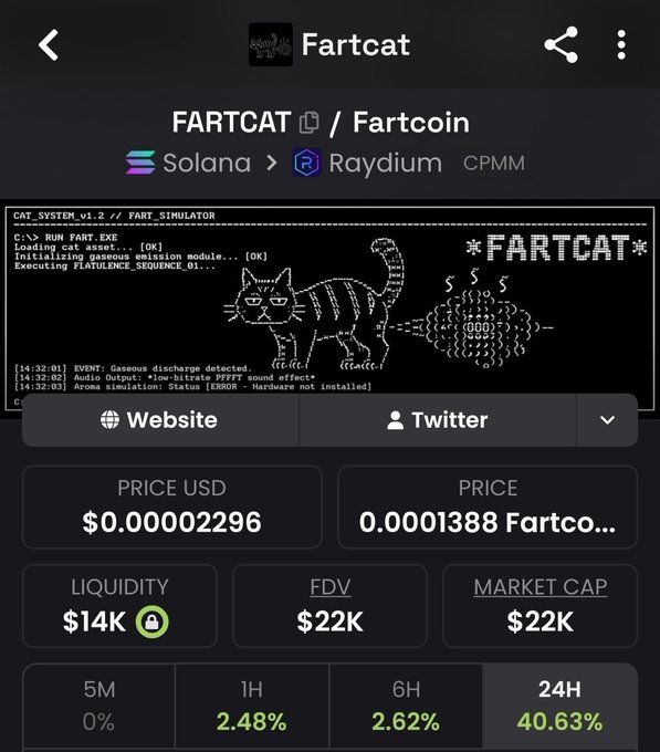 Fartcat (FARTCAT/Fartcoin) token page on Raydium showing a price of $0.00002296, liquidity of $14K, market cap of $22K, and a 40.63% gain in 24 hours.