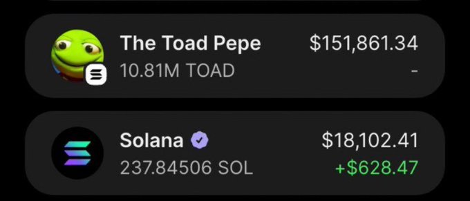 The image shows a crypto wallet dashboard displaying two holdings: 10.81M TOAD (The Toad Pepe) worth $151,861.34, and 237.84506 SOL (Solana) worth $18,102.41 with a +$628.47 gain. The screenshot serves as visual proof of the poster's claimed $140k+ profit on the $TOAD token, supporting their pitch about tracking insider wallets.