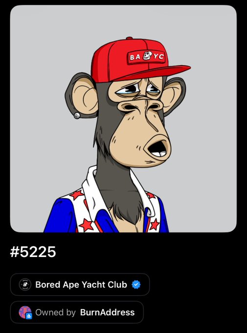 Bored Ape Yacht Club NFT #5225 showing a cartoon ape wearing a red 'BAYC' cap and blue jacket, owned by BurnAddress.
