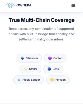 A webpage screenshot for OWNERA titled 'True Multi-Chain Coverage', showing supported blockchain networks including Ethereum, Canton, Stellar, Besu, Ripple Ledger, and Polygon.