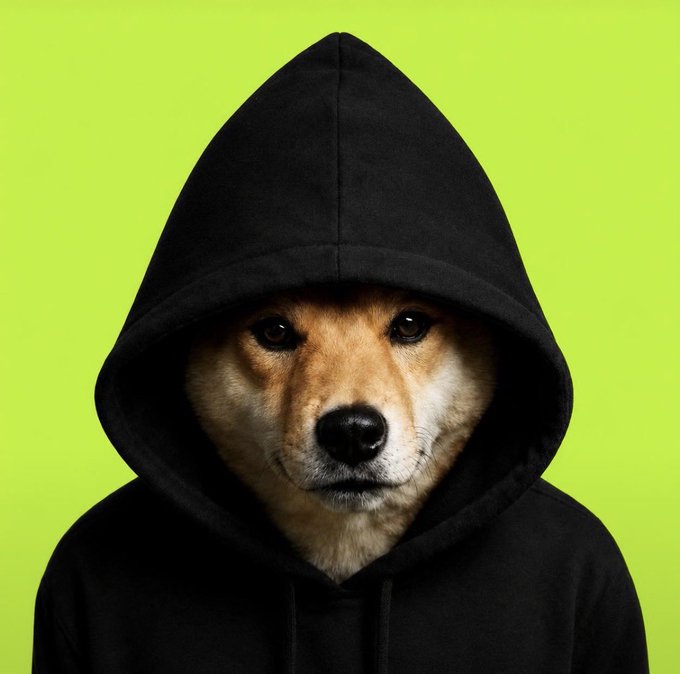 A Shiba Inu dog wearing a black hoodie with the hood pulled up over its head, set against a bright green background. The image humorously illustrates the post's message "Hood stays on" by showing the dog literally keeping its hood up.
