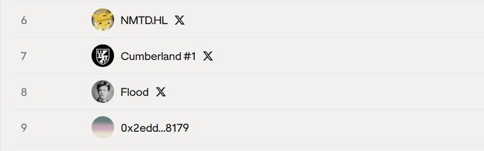 A partial screenshot of a ranked list showing entries 6 through 9, including 'NMTDHL', 'Cumberland #1', 'Flood', and '0x2edd...8179'.