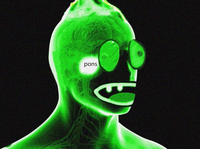 A green-tinted transparent head reveals an illuminated brain with the "pons" region labeled, paired with a meme-style cartoon face showing excitement. The image humorously visualizes the $pons cryptocurrency token by highlighting the "pons" brain structure, tying into the post's enthusiastic prediction that both $ETH and $pons will surge in value.
