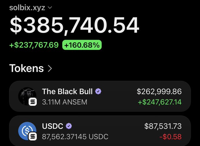 A wallet on solbix.xyz shows a total portfolio value of $385,740.54, up $237,767.69 (+160.68%), with the majority held in "The Black Bull" ($262,999.86, +$247,627.14) consisting of 3.11M ANSEM tokens, alongside $87,531.73 in USDC. This visually illustrates the post's claim of a massive $ANSEM airdrop profit, with the token holdings shown as the primary source of the gains.